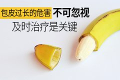 包皮手术的费用多